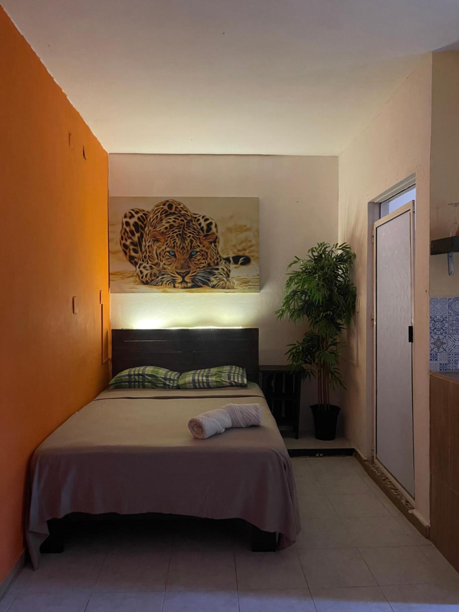Casa Mar Apartment Плая дел Кармен Екстериор снимка